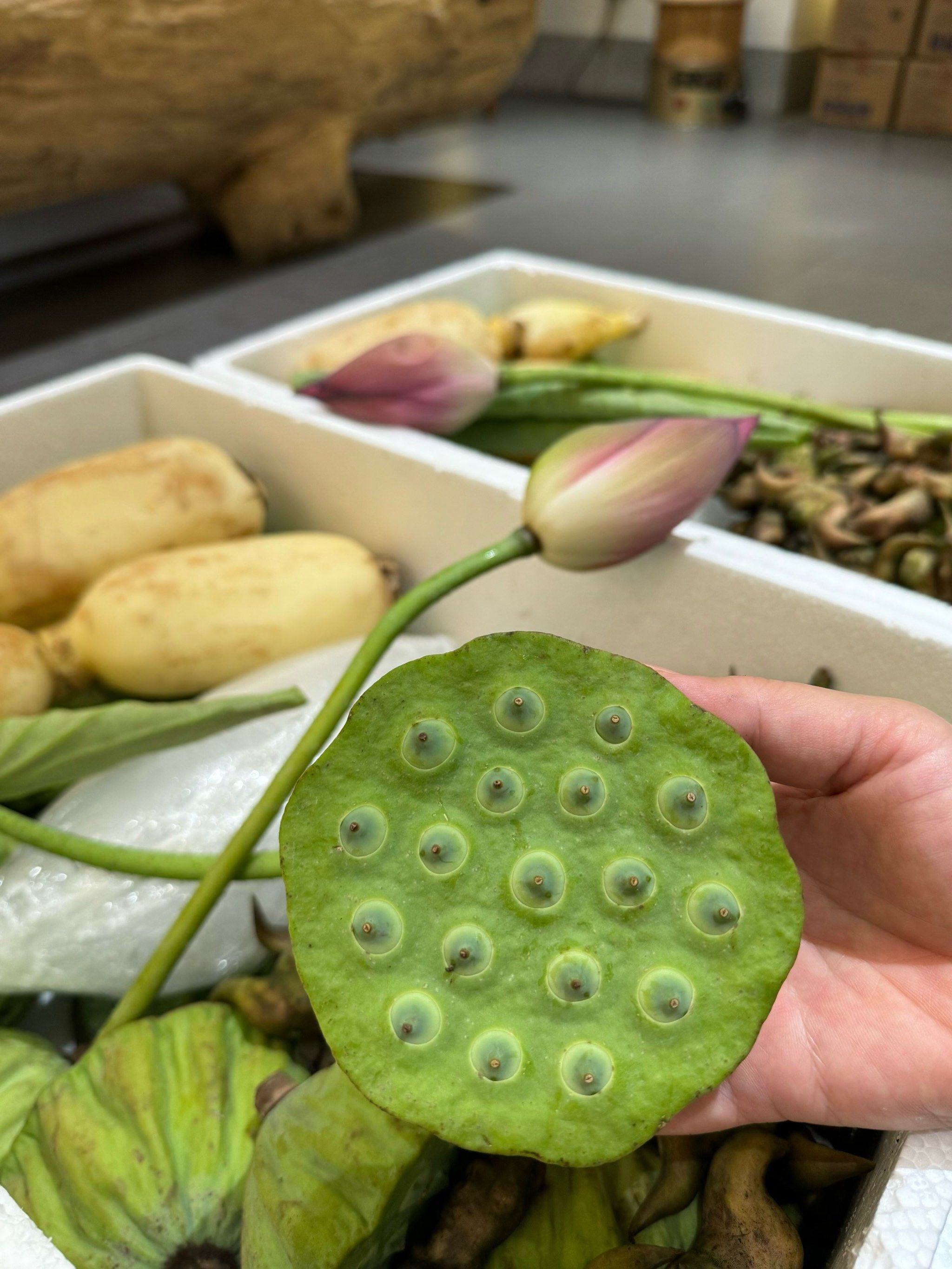 荷塘三宝  湖北特产