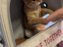 -瑞派福兴宠物医院犬猫全科·骨科·中西医结合(河东店)