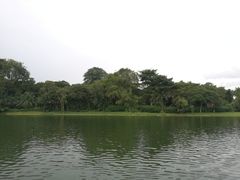 -河川生态园