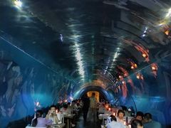 -海棠湾洲际-涛·海底餐厅·美人鱼·自助餐·海底隧道