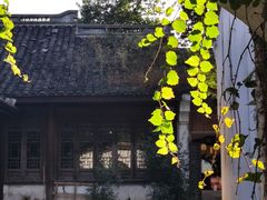 -鲁镇