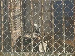 -哈尔滨北方森林动物园
