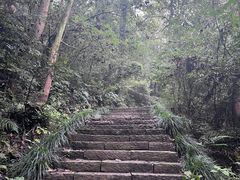 -杭州半山国家森林公园