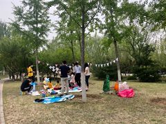 -永定河休闲森林公园