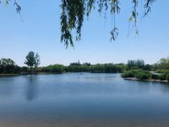 -大兴滨河森林公园
