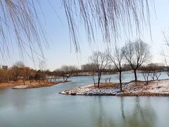 -东郊湿地公园