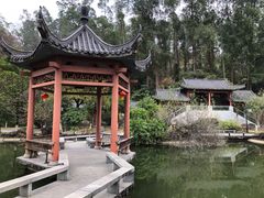 -广州神农草堂中医药博物馆