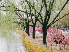 -南翠屏公园
