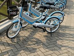 -上海海湾国家森林公园