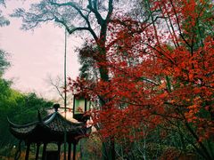 -云栖竹径