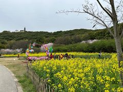 -苏州上方山国家森林公园