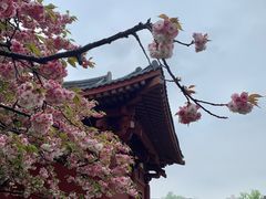-大慈恩寺(大雁塔)