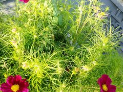 -大栅栏民俗图书馆