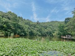 -天目湖山水园