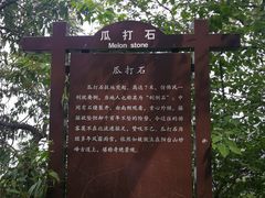 -阳台山自然风景区