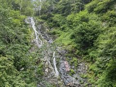 -凤凰山国家森林公园