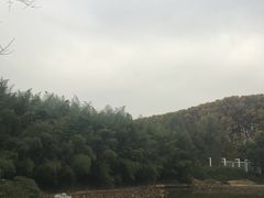 -河南省黄河迎宾馆
