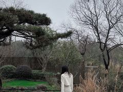 -新荣记(西溪湿地店)