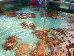 -盒马鲜生(宝地店)
