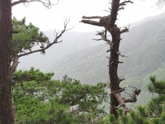 -罗田薄刀峰风景区