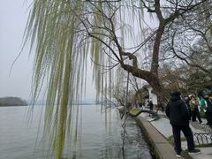 -西湖天地