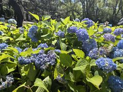 -沈阳植物园