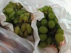 -美家乐农庄·露营·团建(大治路店)