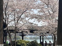 -万达广场(南京江宁店)