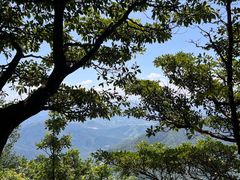 -梧桐山风景名胜区