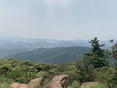 -惠山国家森林公园