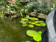 -国家植物园南园