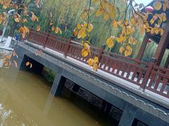 -西安市长乐公园