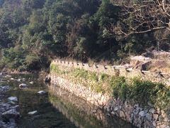 -花岩国家森林公园