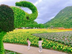 -广州市石门国家森林公园