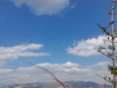 -唐咖精品咖啡(大理古城手冲店)