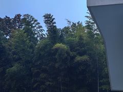 -南京东郊国宾馆