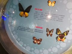 -萌宠奇缘