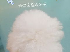 -动物缘宠物医院·骨科·猫科(西二环店)