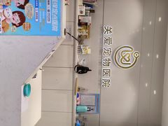 -关爱宠物医院·猫科中心·消化科(滨湖万达分院)