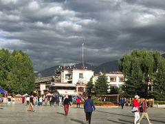 -古树酸奶(八廓南街店)