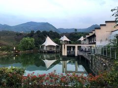 -帐篷客·溪龙茶谷度假酒店