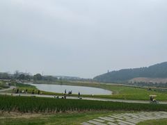 -径山花海