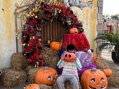 -大连海昌发现王国主题公园