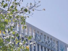 -深圳市人才园(深南大道店)