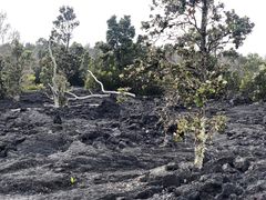 -夏威夷火山国家公园