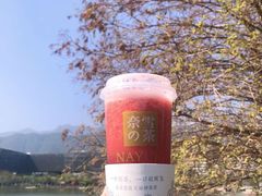 -奈雪的茶(大梅沙8号仓店)