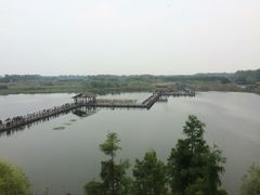 -溱湖国家湿地公园