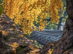 -无锡惠山寺