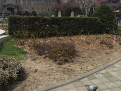 -札幌市资料馆(旧札幌控訴院)