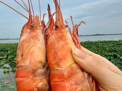 -七的湖·晚芳亭·阳澄湖农家菜·大闸蟹(莲花岛店)